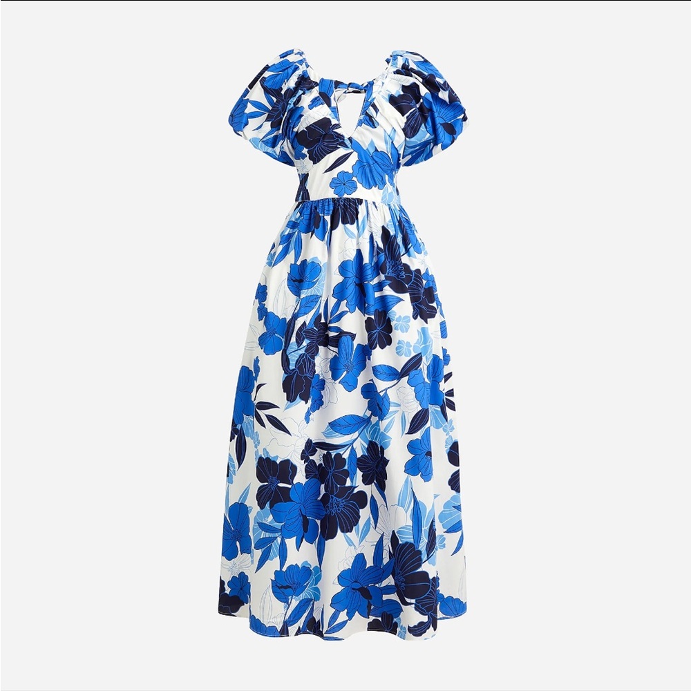 J. Crew Cecily Dress